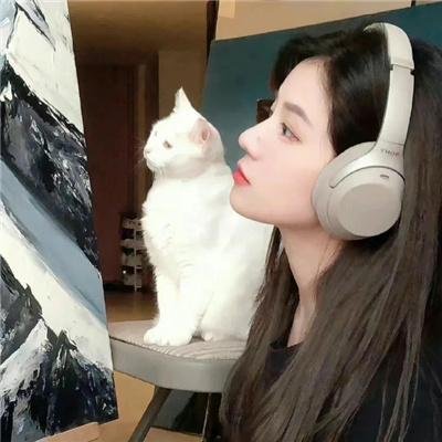 完全疯了